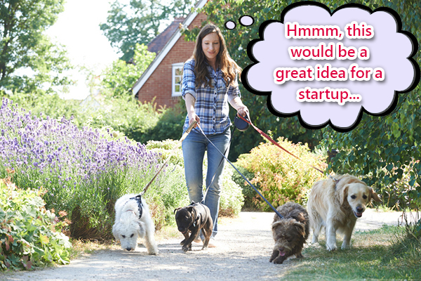 dog walking startup